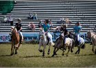 Pferd International 049